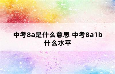 中考8a是什么意思 中考8a1b什么水平